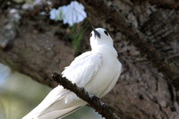IMG_0175 copy