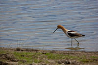 IMG_4068vr