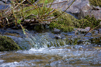 IMG_1812.vr
