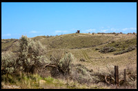 IMG_8374_1