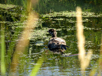 VR IMG_1268