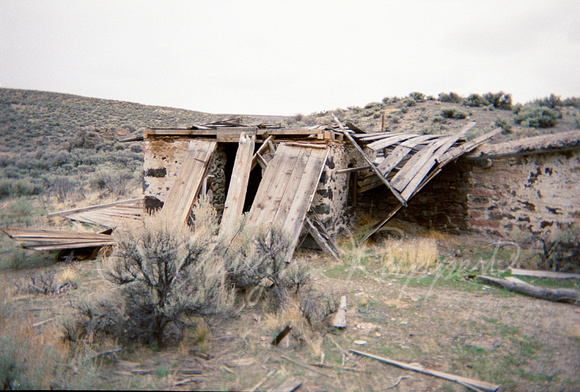 Nevada Refuge (4)