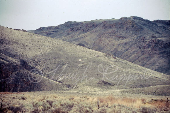 Nevada Sheldon Refuge