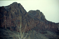 Nevada Wildlife Refuge3