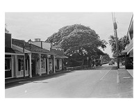 1970s LaHaina